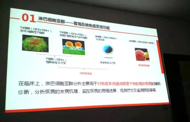 淋巴细胞亚群检测测白斑